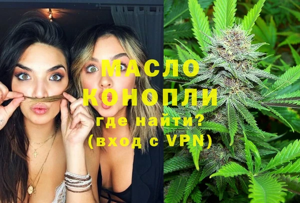 дживик Слюдянка
