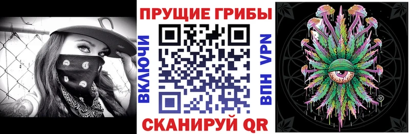 Псилоцибиновые грибы мухоморы  кракен как войти  Венёв 